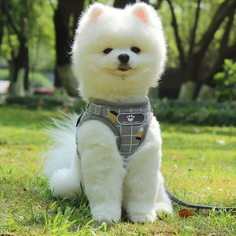 French Bulldog Breathable Reflective Dog Harness And Leash