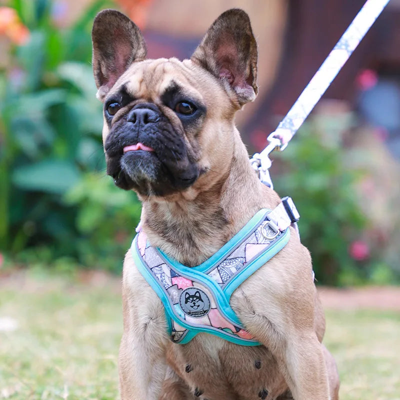 Adjustable Dog Harness and Leash Set for Small Medium Dogs.
