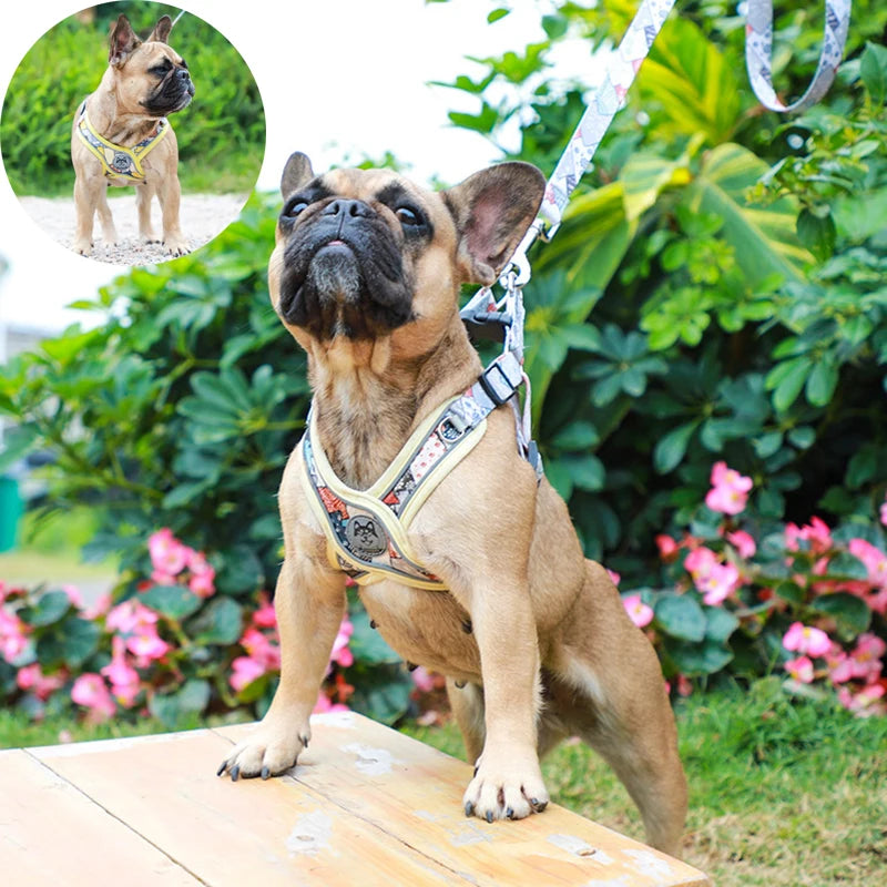 Adjustable Dog Harness and Leash Set for Small Medium Dogs.