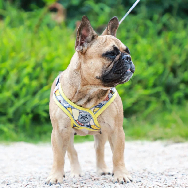 Adjustable Dog Harness and Leash Set for Small Medium Dogs.