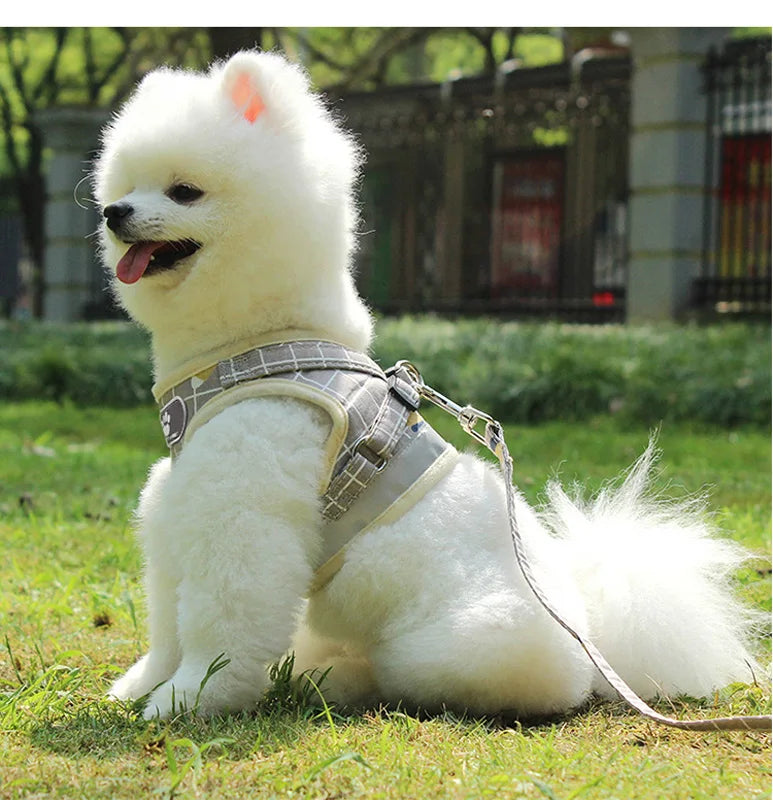 French Bulldog Breathable Reflective Dog Harness And Leash
