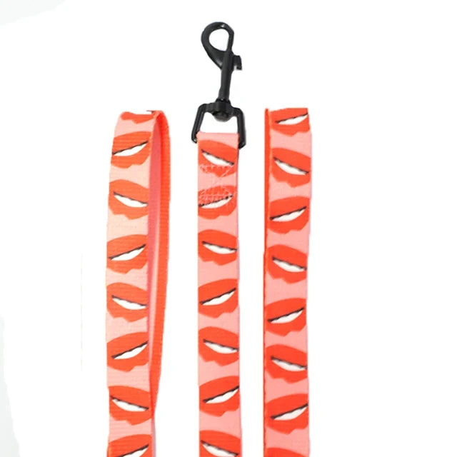 Dog Harness Leash Set Perfect for Your Frenchie