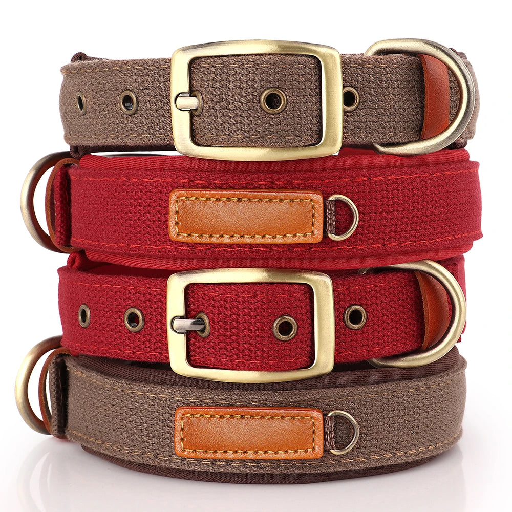 Adjustable Nylon Soft Padded Dog Collar For French Bulldog