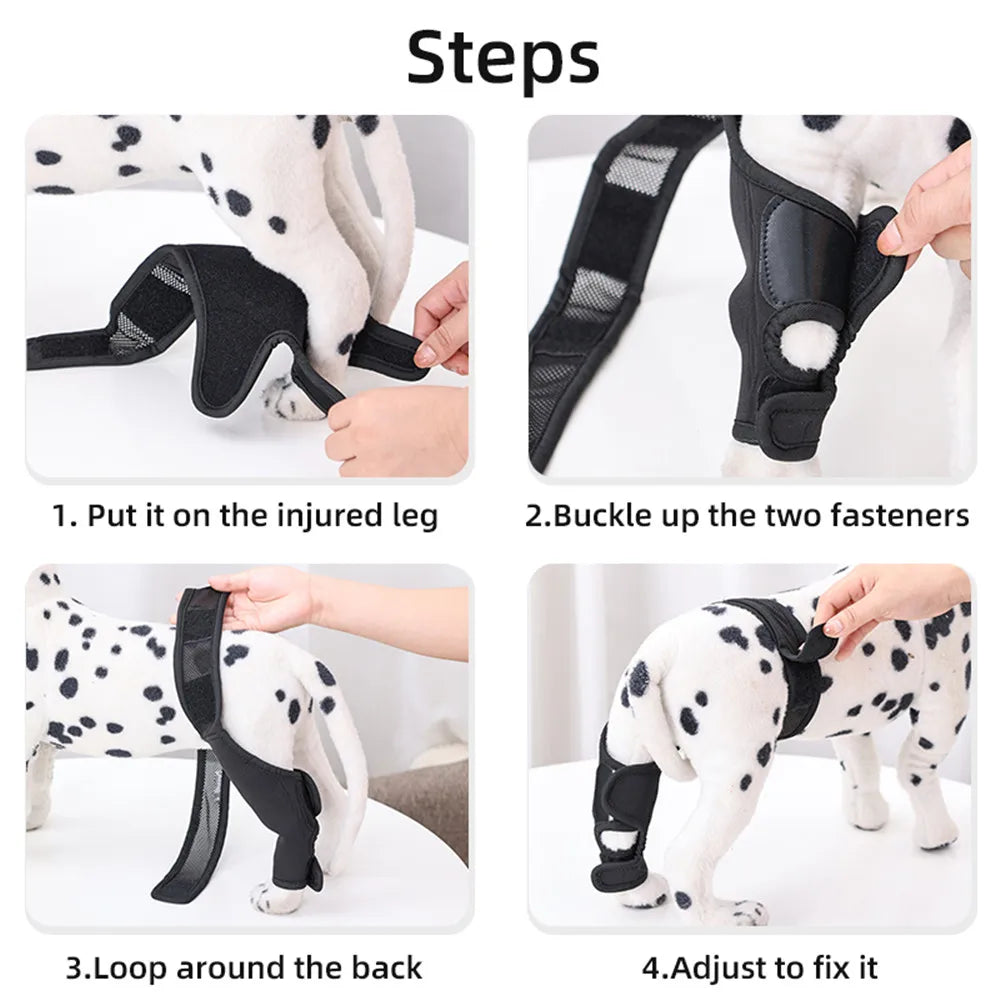 French Bulldog Joint/Hip Orthopedic Recovery belt