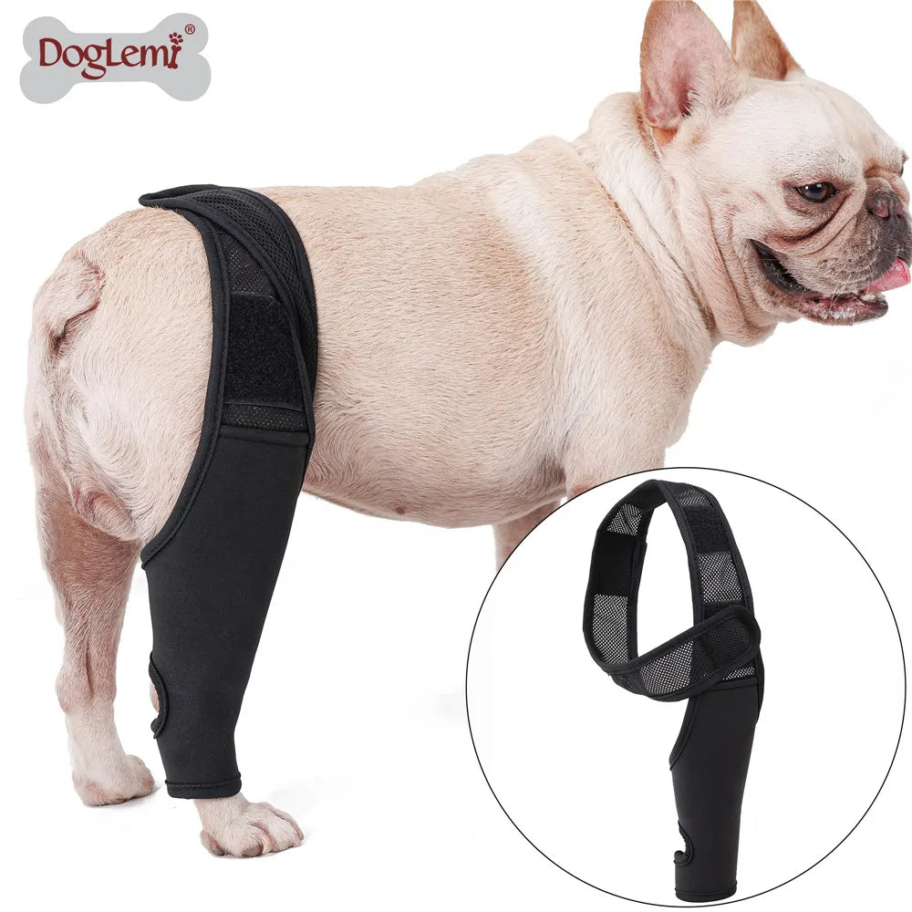 French Bulldog Joint/Hip Orthopedic Recovery belt