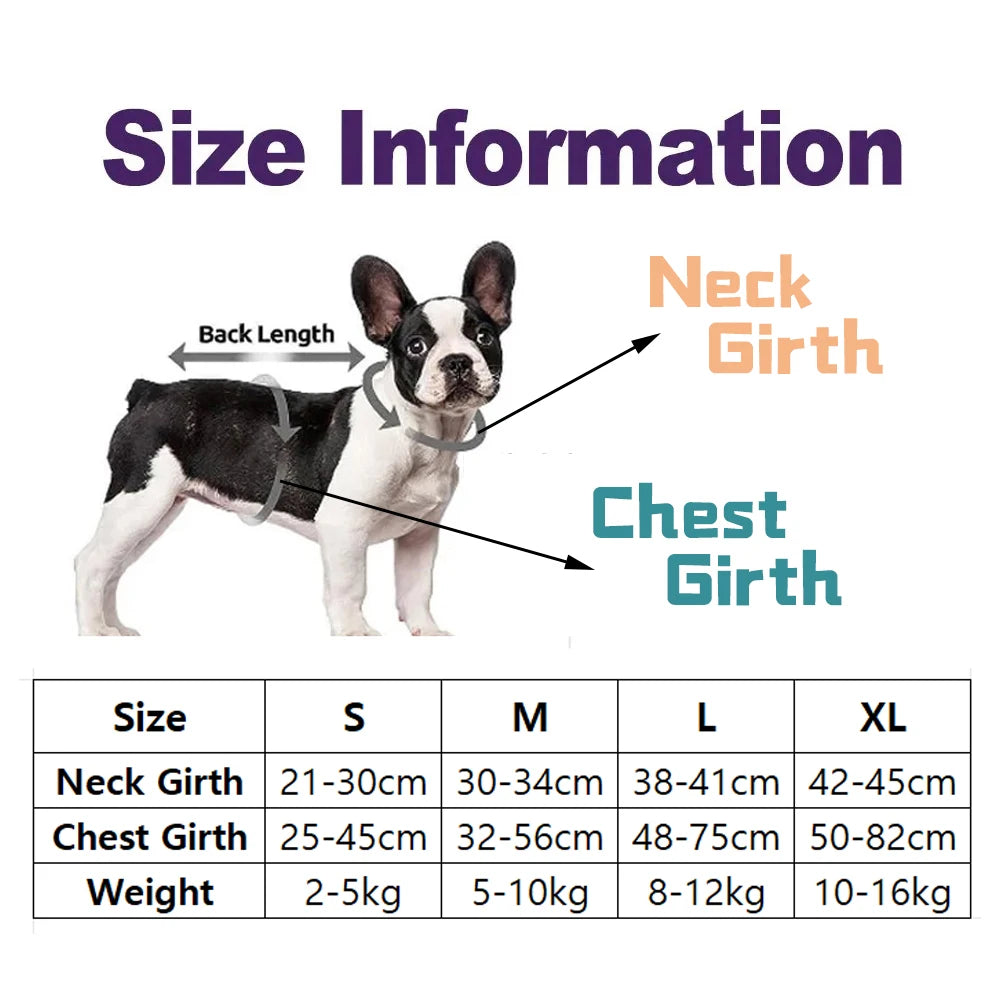 Dog Harness Leash Set Perfect for Your Frenchie