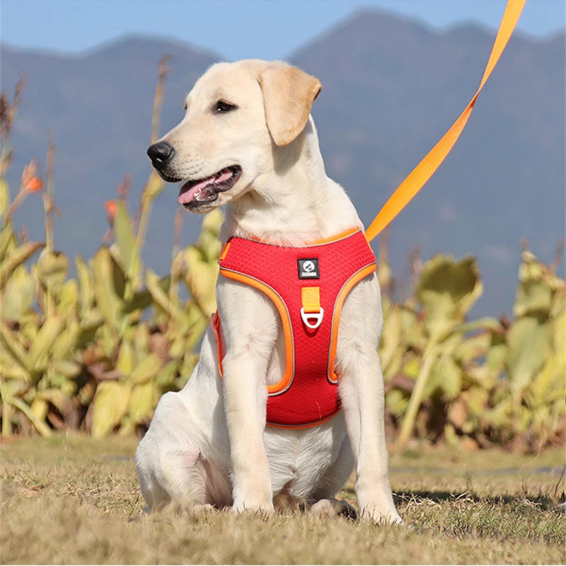 French Bulldog No Pull Adjustable Reflective Harness And leash Set