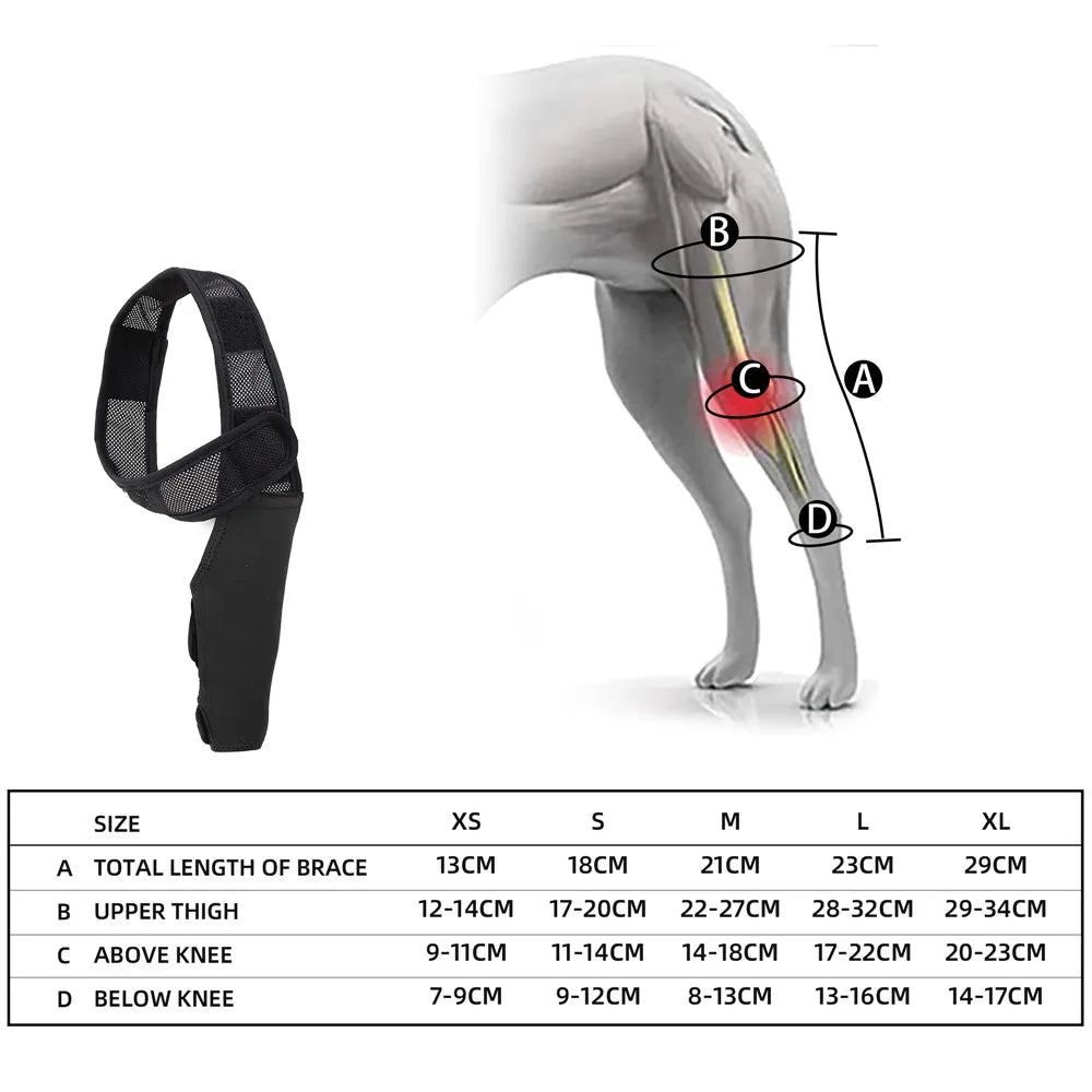 French Bulldog Joint/Hip Orthopedic Recovery belt