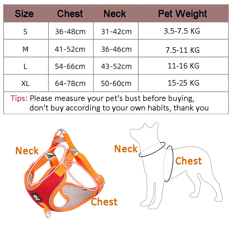 French Bulldog No Pull Adjustable Reflective Harness And leash Set