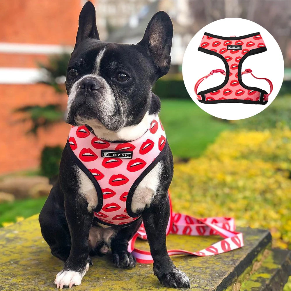 Dog Harness Leash Set Perfect for Your Frenchie