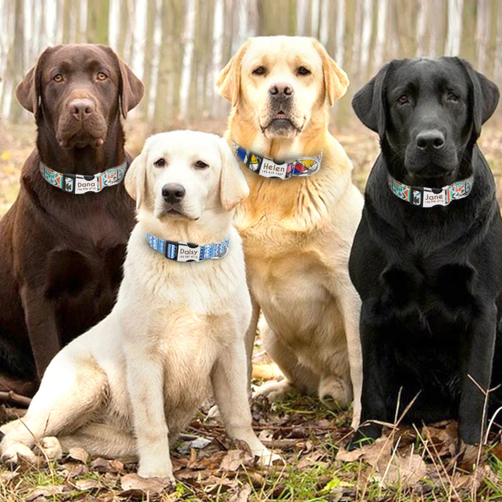 Adjustable Nylon Personalised Dogs Collars
