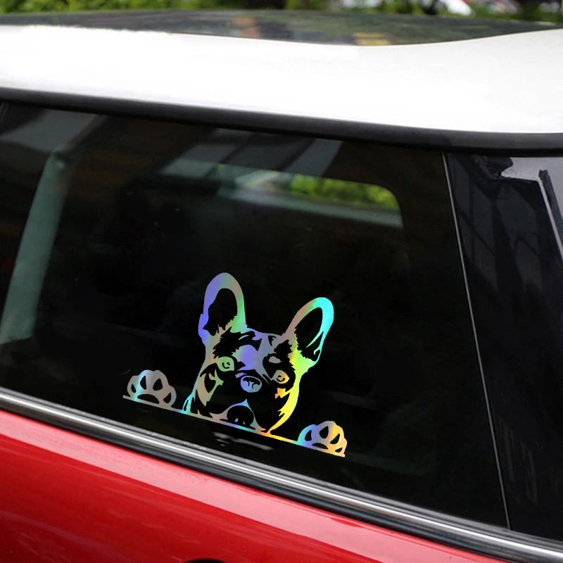 Frenchie Car Sticker