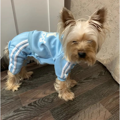 Stylish Dog Hoodie