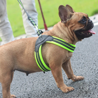 Reflective French Bulldog Pet Harness and Leash Set