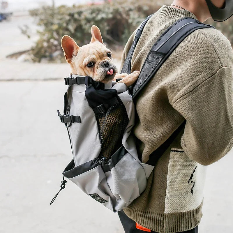 Outdoor French Bulldog Breathable Backpack