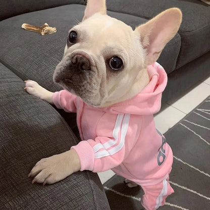 Stylish Dog Hoodie