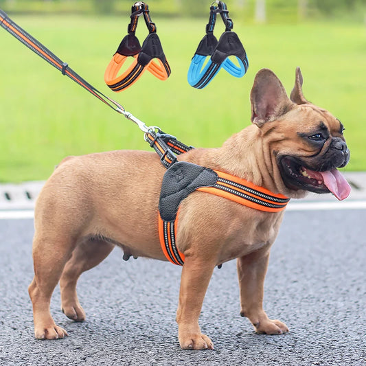 Reflective French Bulldog Pet Harness and Leash Set