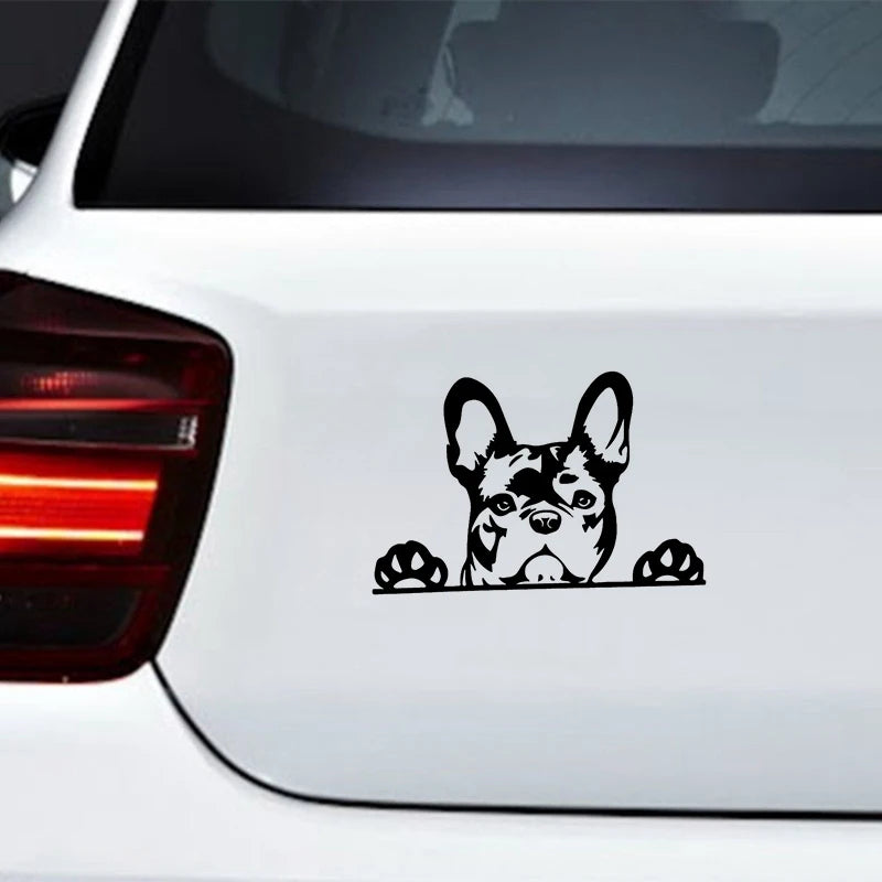 Frenchie Car Sticker