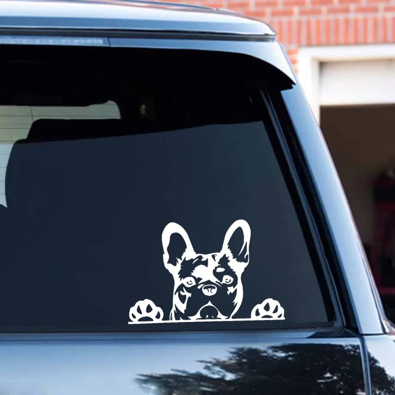 Frenchie Car Sticker