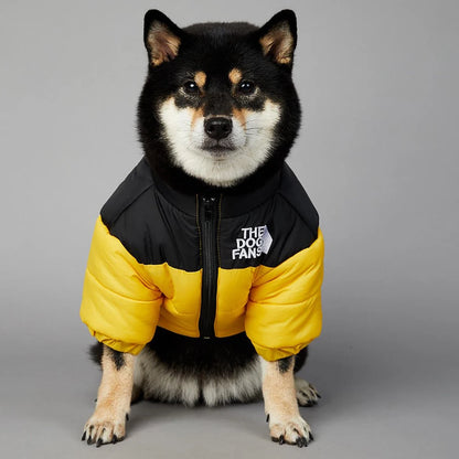 Dog Padded Waterproof Coat