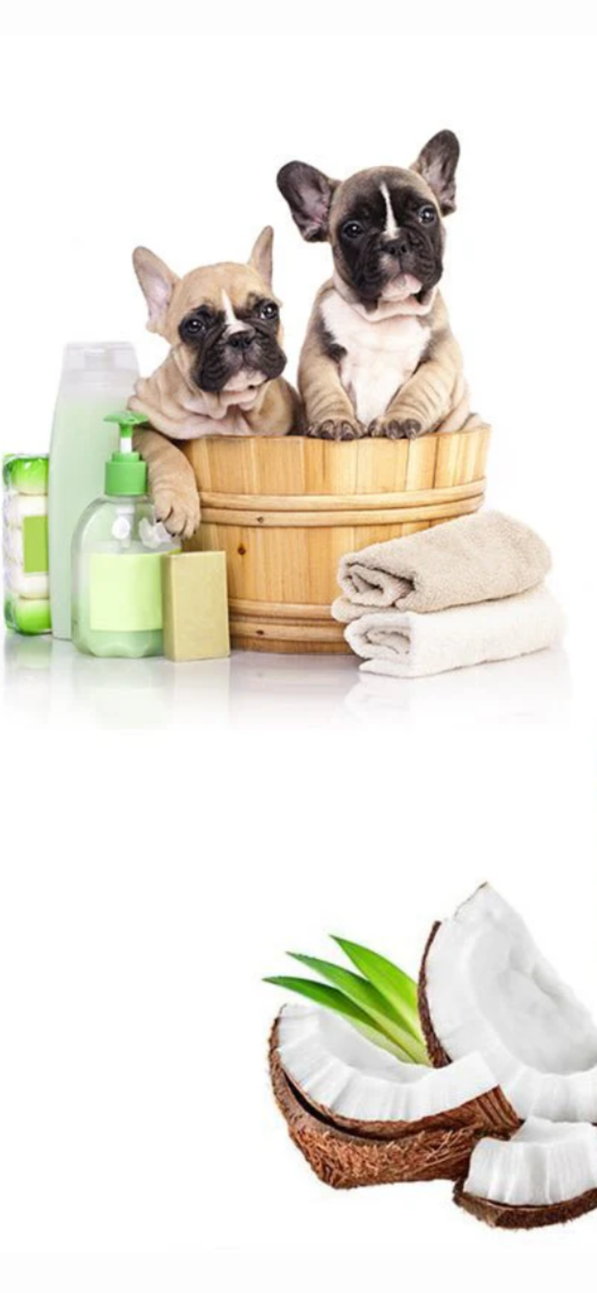 2 in 1 Dog Shampoo