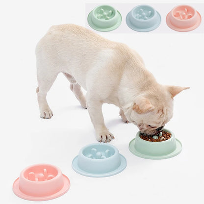 Anti-Choke Non-Slip Pet Food Bowl French Bulldog