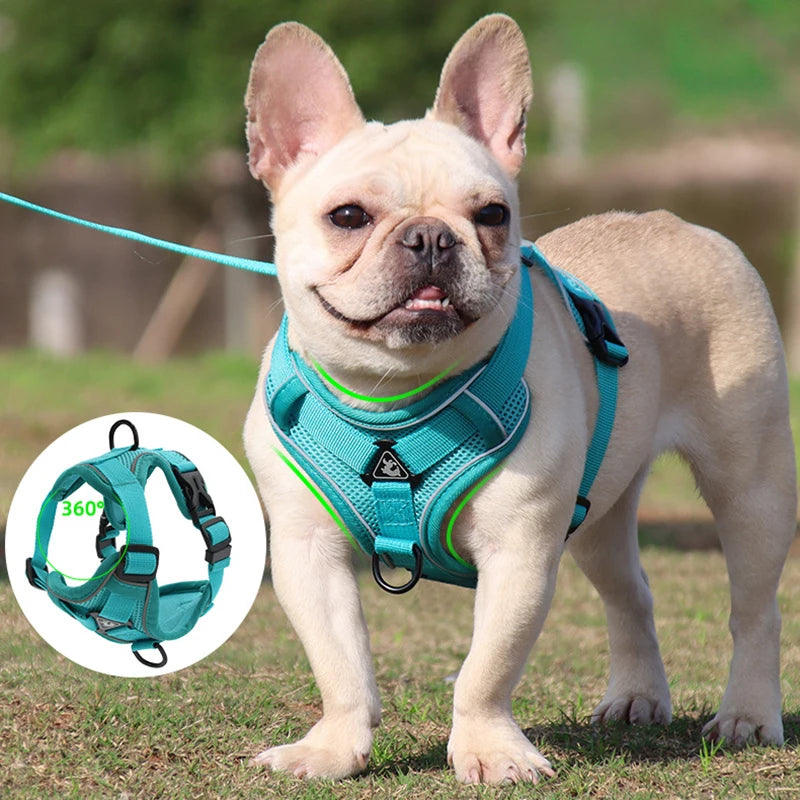 French Bulldog No Pull Dog Harness and Leash Set