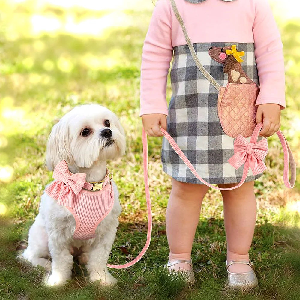 Cute Dog Harness/ Collar/Leash Set With Bow tie