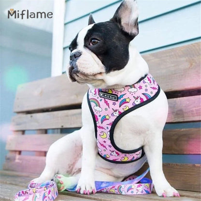 Breathable Comfortable Mesh no pull harness/leash sets