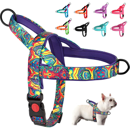 French Bulldog  No Pull Dog Harnesses