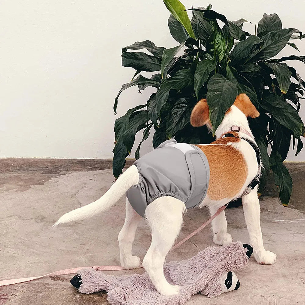 Re-usable Female Dog Pants