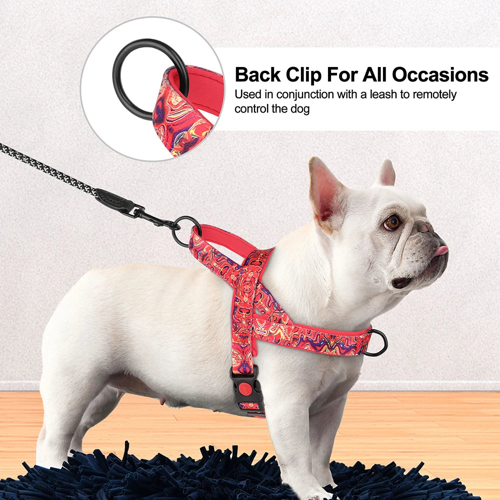 French Bulldog  No Pull Dog Harnesses