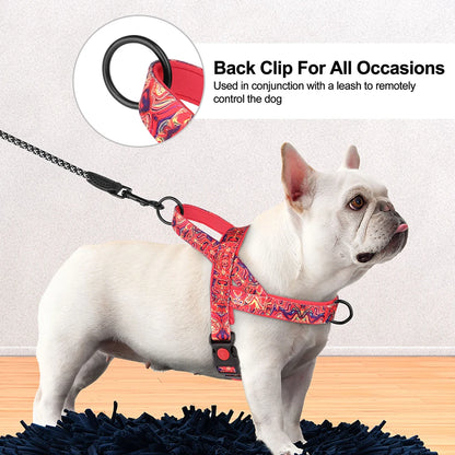 French Bulldog  No Pull Dog Harnesses