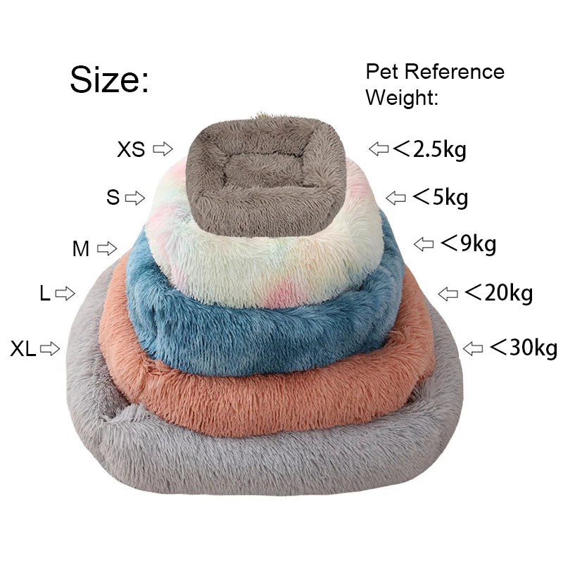 French Bulldog Plush Bed