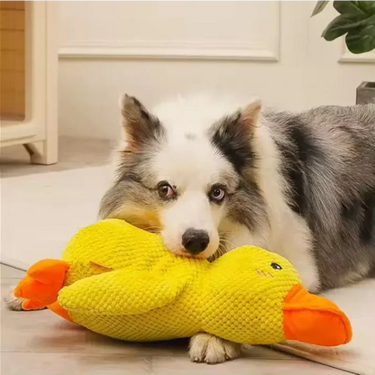 Calming Duck Toy