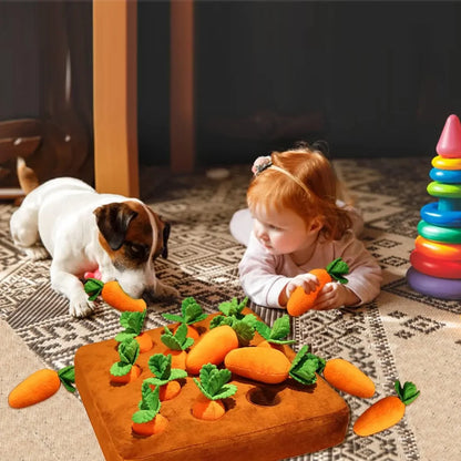 Toy Carrot Snuffle Mat