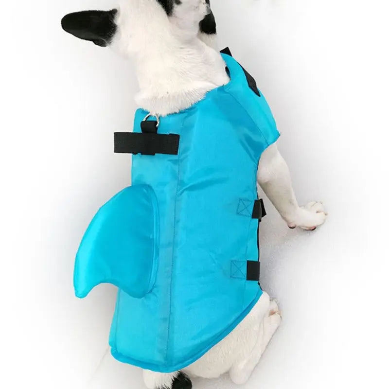 French Bulldog Life Jacket