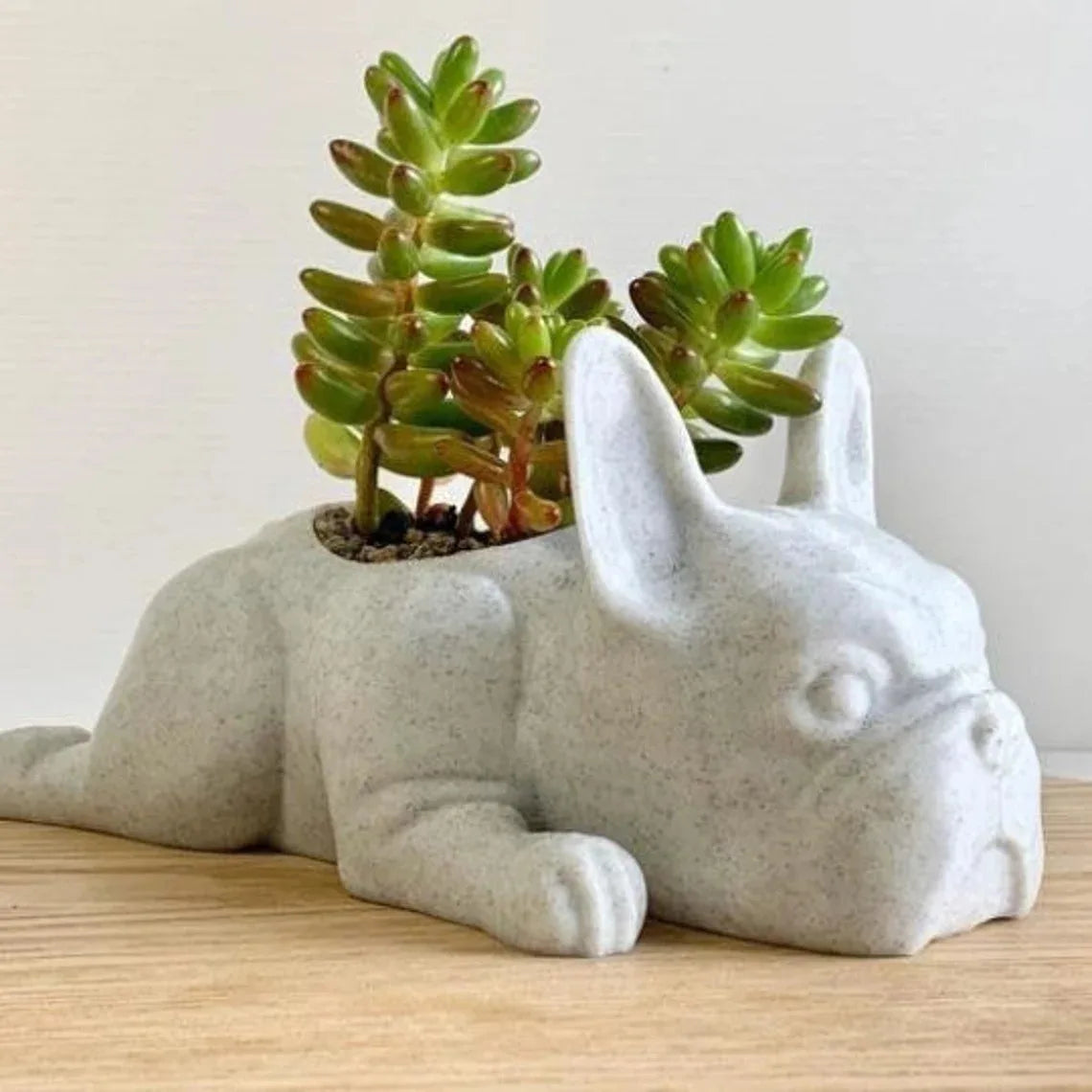 French Bulldog Planter