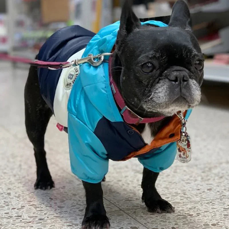 French Bulldog Waterproof Hooded Jacket