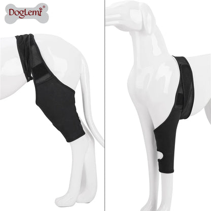 French Bulldog Joint/Hip  Orthopedic Recovery belt