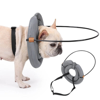 Blind Dog Harness Guiding Device