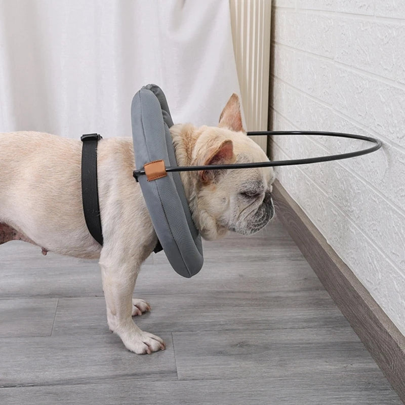 Blind Dog Harness Guiding Device