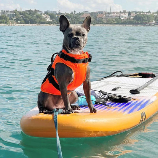 French Bulldog  Swimming Life Jacket  with Reflective material