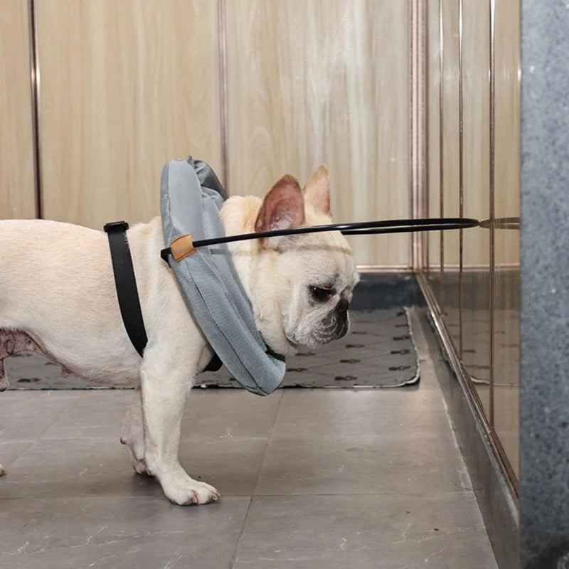 Blind Dog Harness Guiding Device