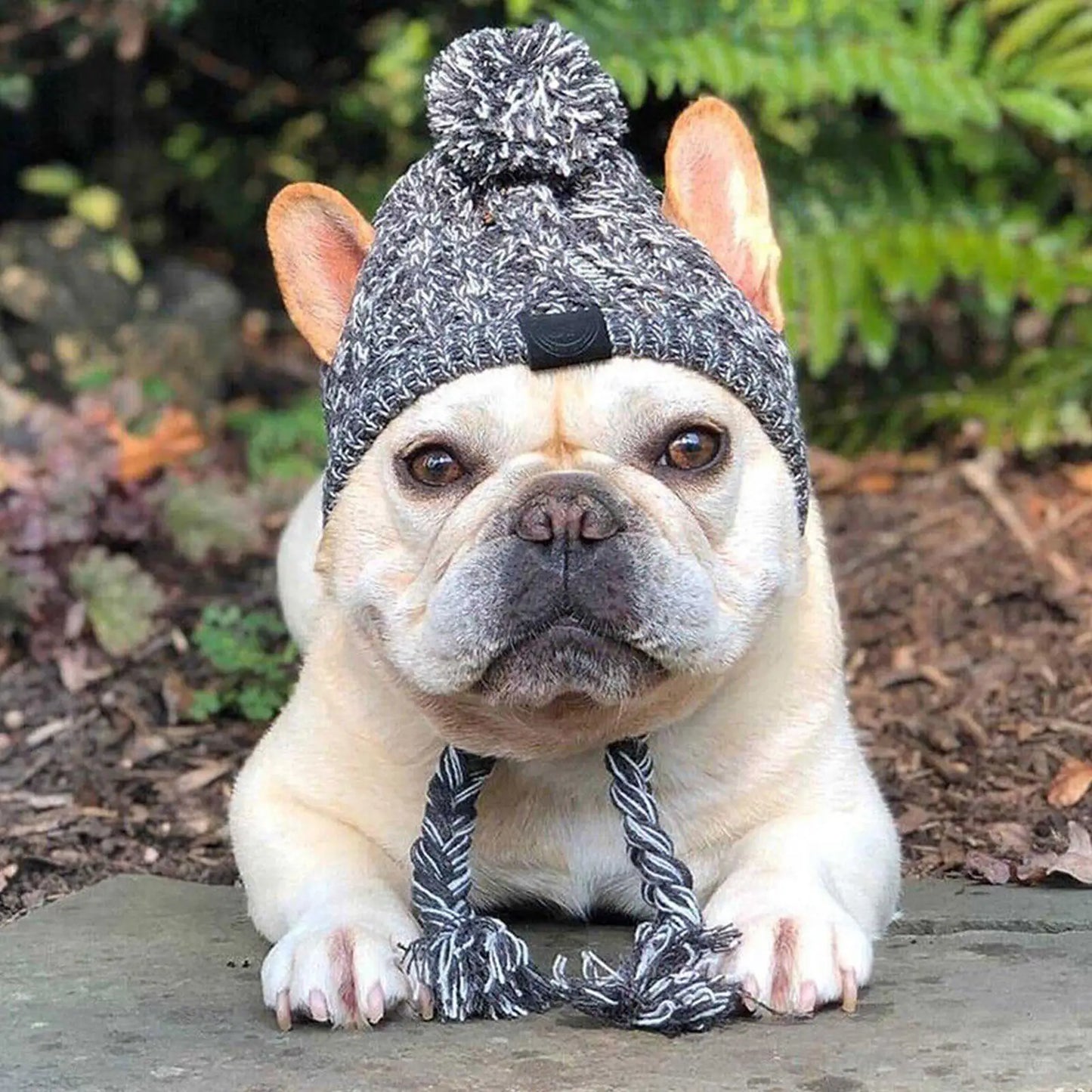 French Bulldog  Winter Fluffy Ball Pet Hat