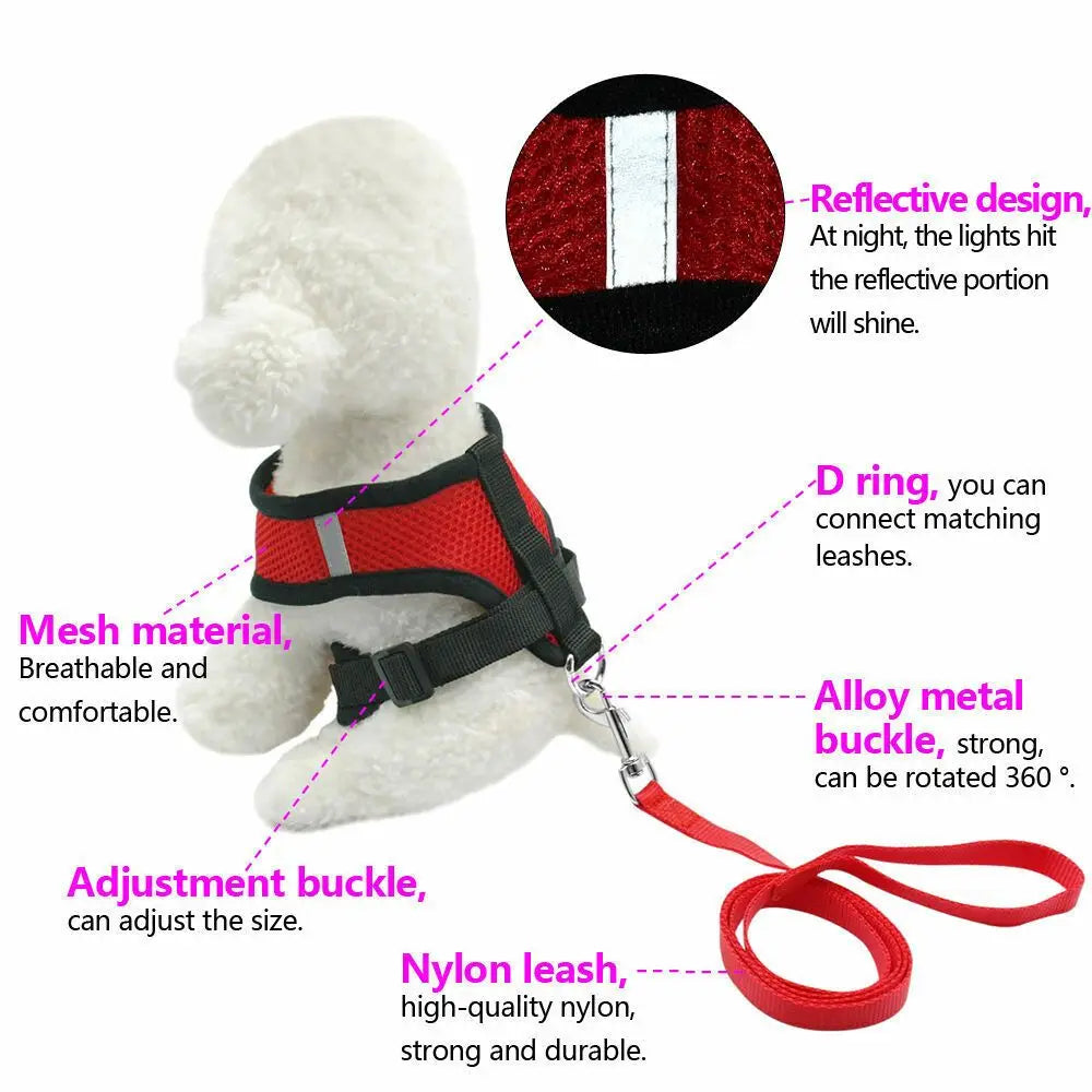 Dog Harness and Lead Set