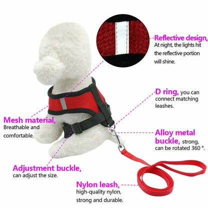 Dog Harness and Lead Set