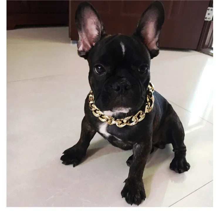 French Bulldog Neck Chain