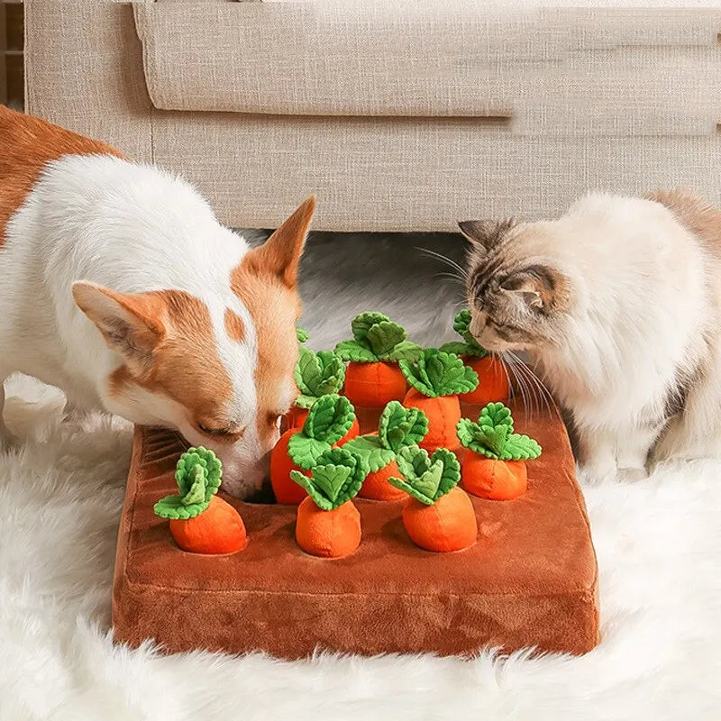 Toy Carrot Snuffle Mat