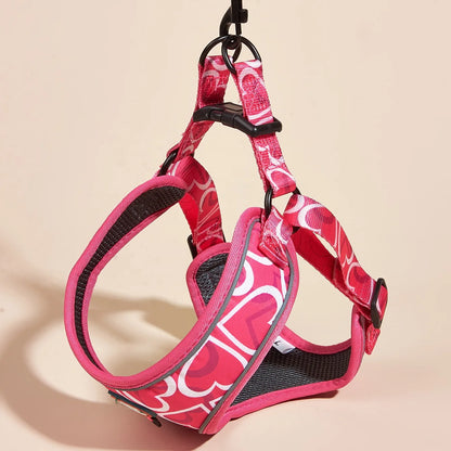 Dog Harness Leash Set